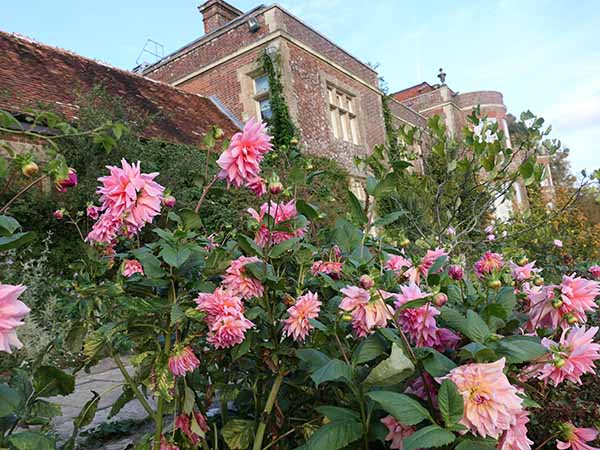 fall2025-hintonampner