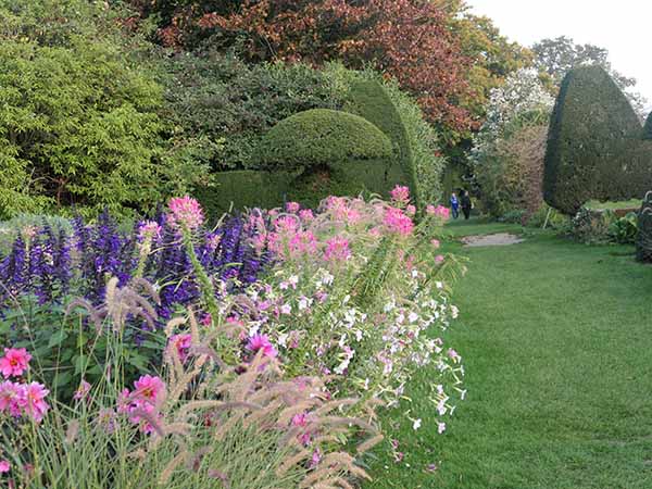 fall2025-hintonampner