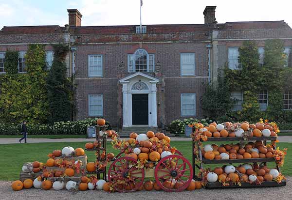 fall2025-hintonampner