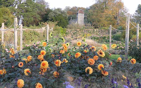 fall2025-hintonampner