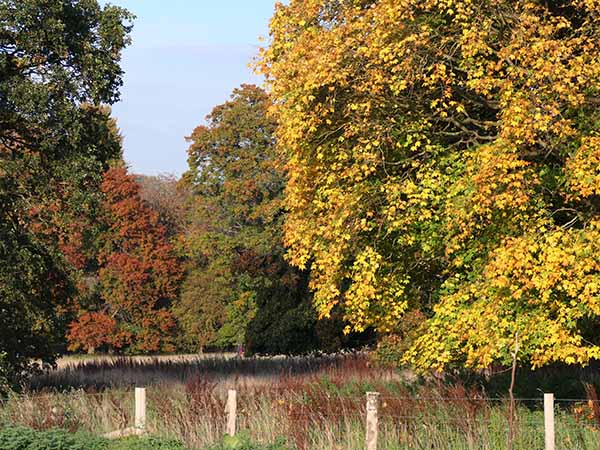 fall2025-hintonampner