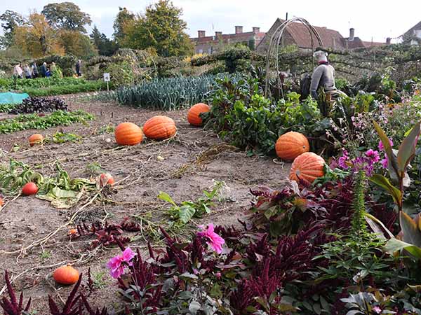 fall2025-hintonampner