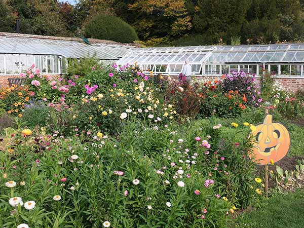 fall2025-hintonampner