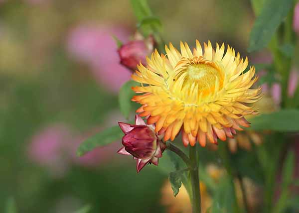 fall2025-hintonampner