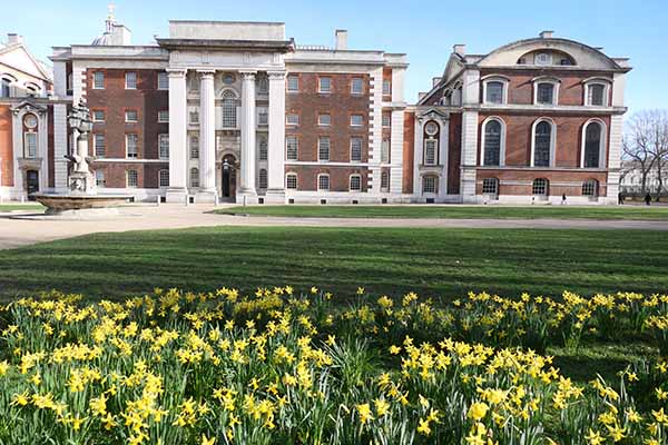 greenwich-daffodils