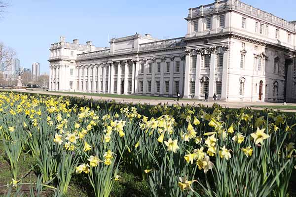 greenwich-daffodils