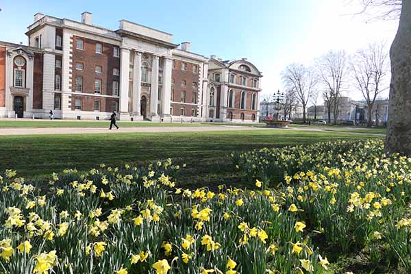 greenwich-daffodils