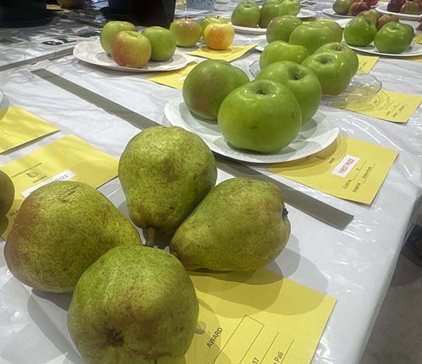 headstone-village-show