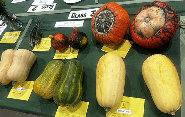 headstone-village-show