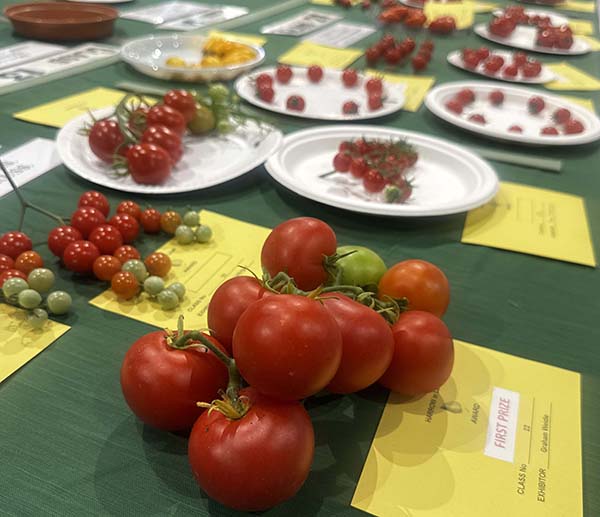 headstone-village-show