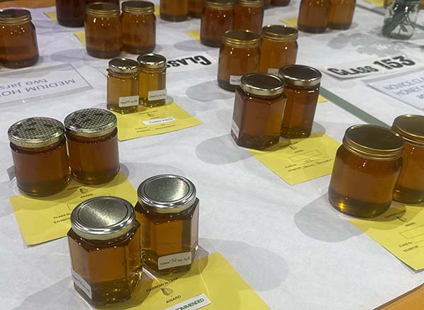 headstone-village-show