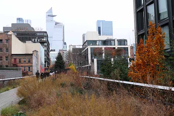 highlinenyc