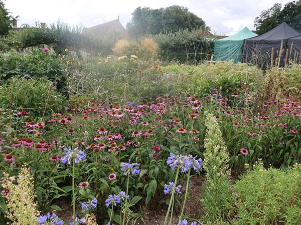 hintonampner-july2025