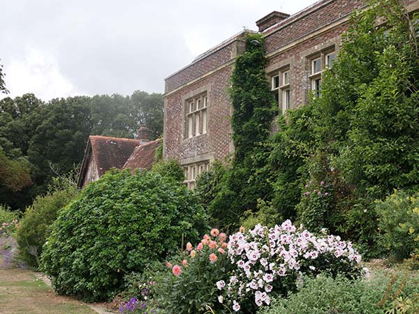 hintonampner-july2025