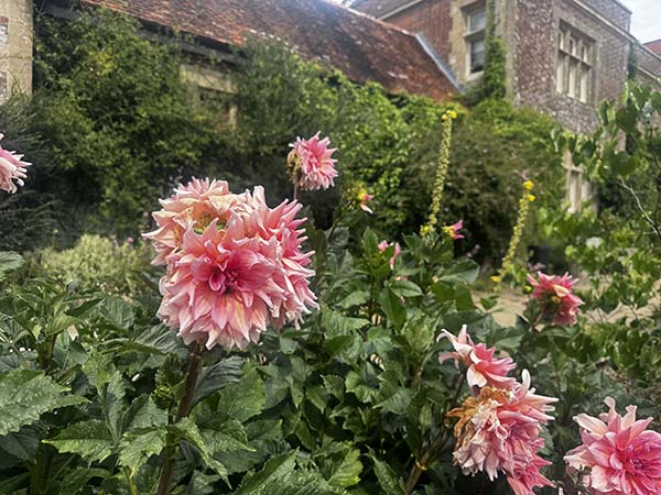 hintonampner-july2025