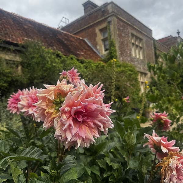 hintonampner-july2025