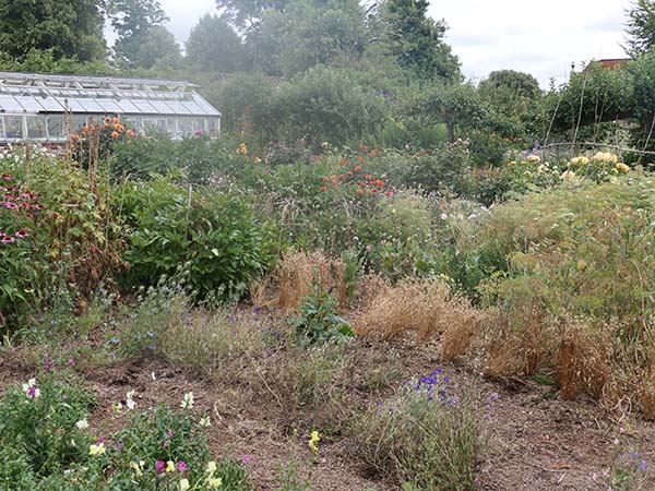 hintonampner-july2025