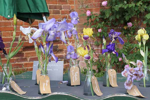 mottisfont-may2026