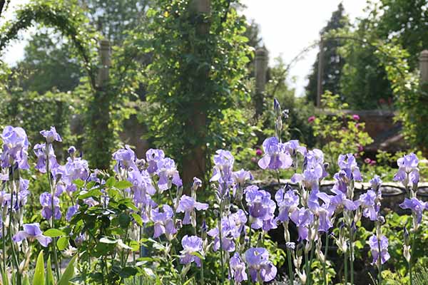 mottisfont-may2026