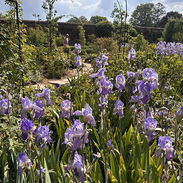 mottisfont-may2026