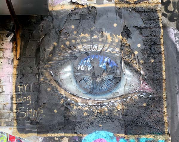 mydogsighs2024