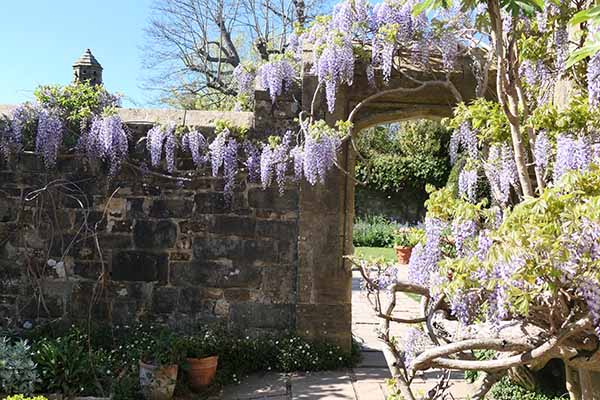 nymans-apr2026