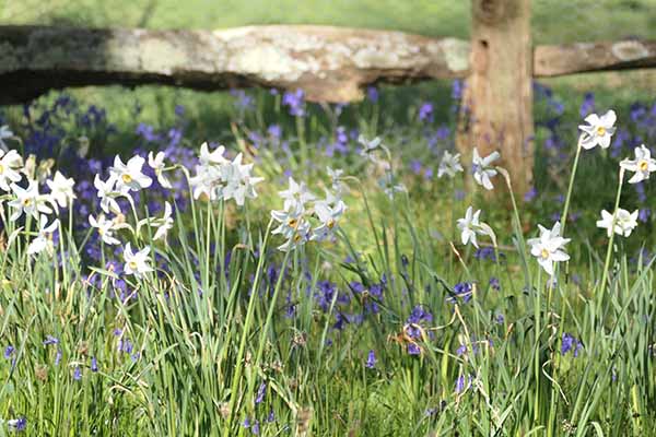nymans-apr2026