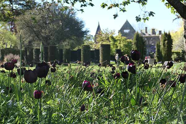 nymans-apr2026