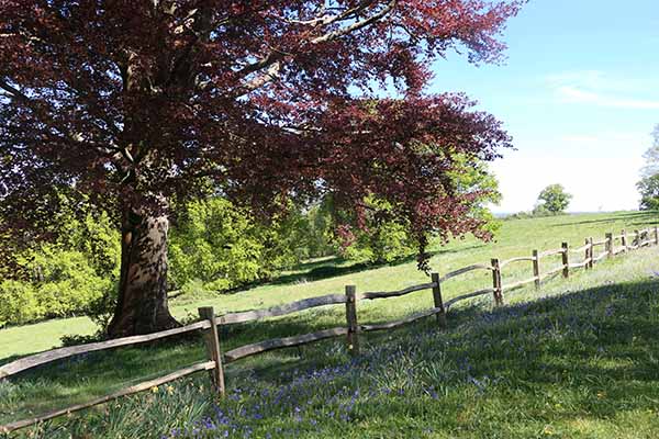 nymans-apr2026