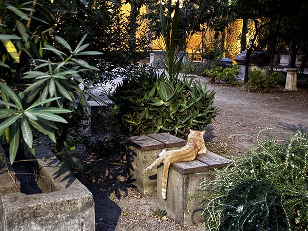 rhodes-archeological