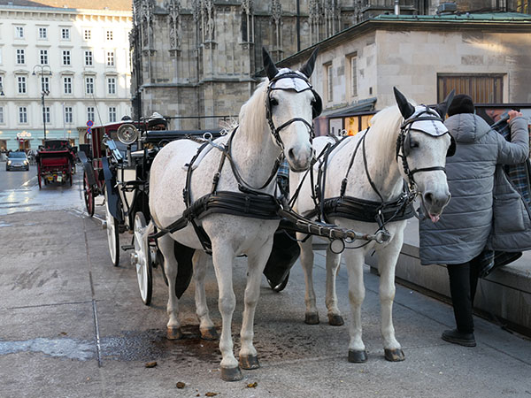vienna-february1.jpg