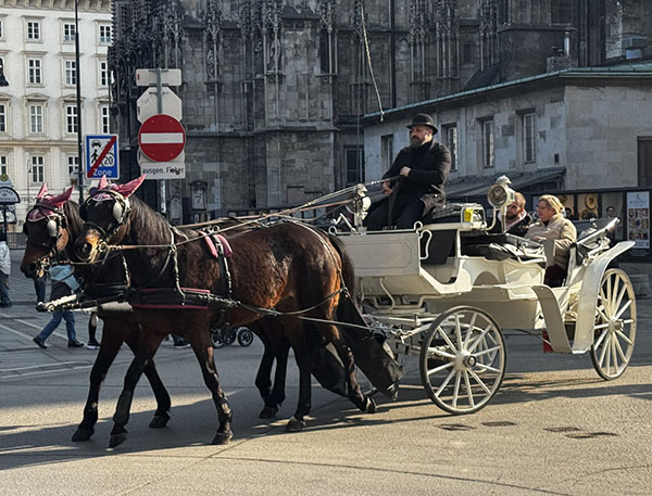 vienna-february