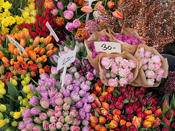 vienna-february