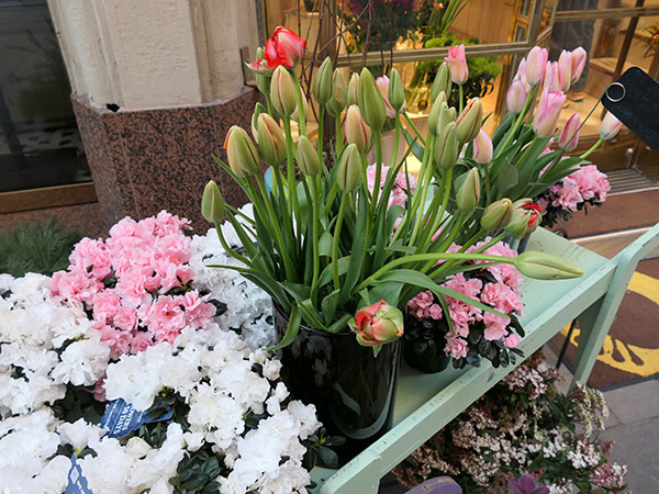 vienna-february