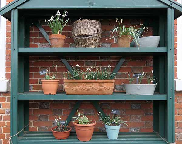 welfordpark-snowdrops