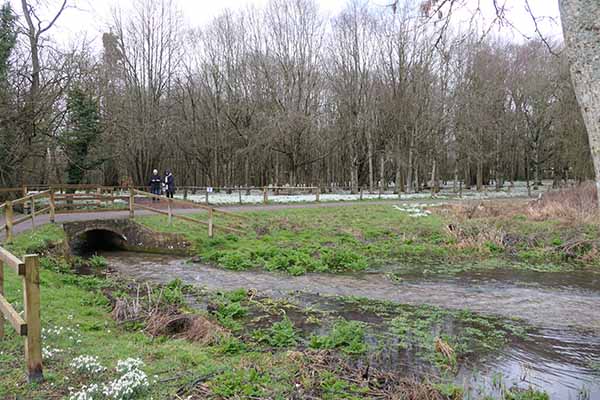 welfordpark-snowdrops